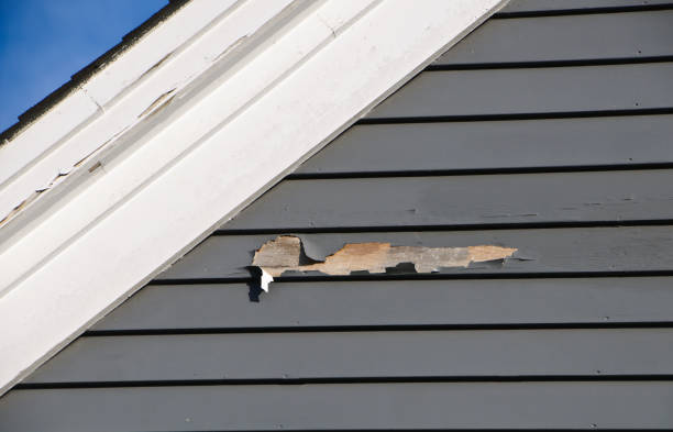 Trusted Lima, PA Siding Installation & Repair Experts